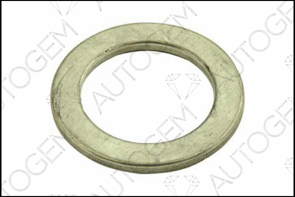 Seal Ring, exhaust pipe (CEG65)