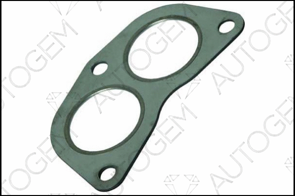 Gasket, exhaust pipe (CEG69)