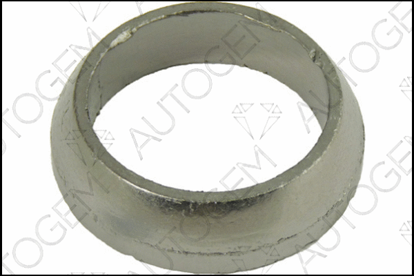 Seal Ring, exhaust pipe (CEG910)