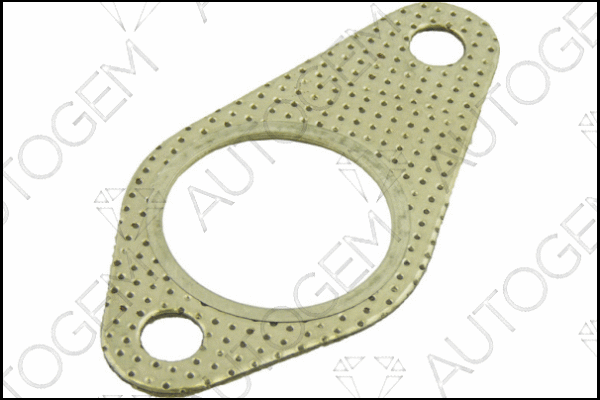 Gasket, exhaust pipe (CEG357)