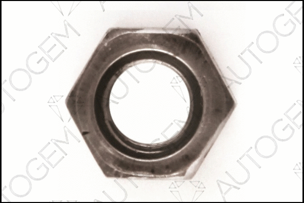 Nut, exhaust manifold (MNF05)