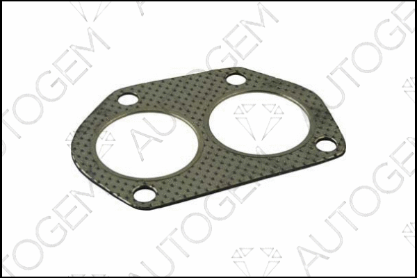 Gasket, exhaust pipe (CEG344)