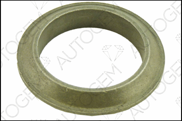 Seal Ring, exhaust pipe (CEG295)