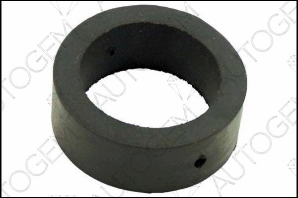 Mount, exhaust system (CSM32)