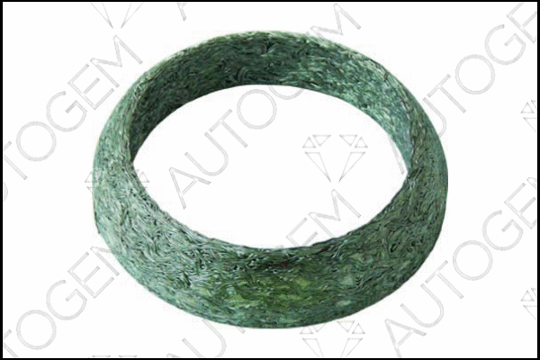 Seal Ring, exhaust pipe (CEG9297)
