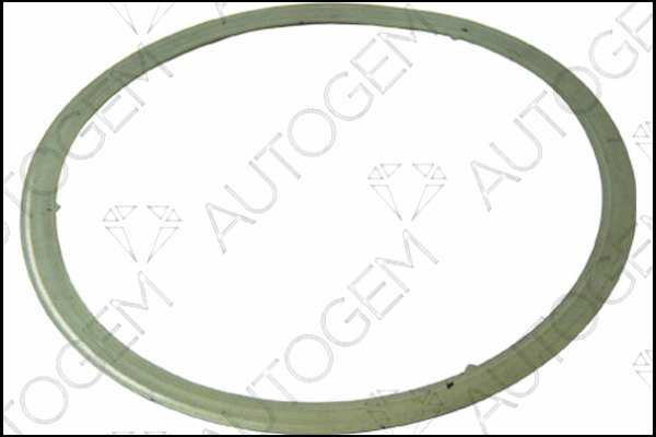 Gasket, exhaust pipe (CEG4701)