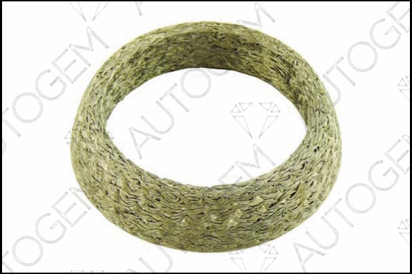 Seal Ring, exhaust pipe (CEG202)