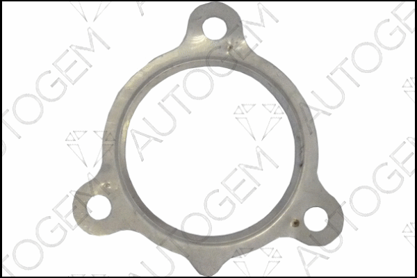 Gasket, exhaust pipe (CEG8815)