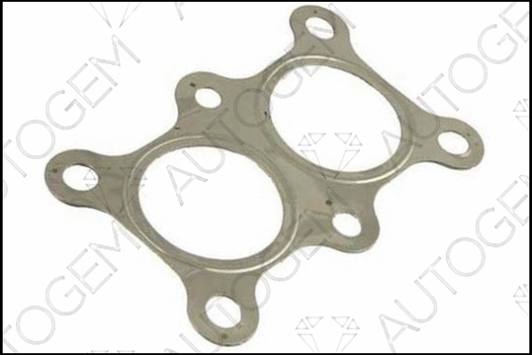 Gasket, exhaust pipe (CEG966)