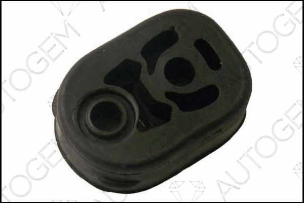 Mount, exhaust system (CSM670)