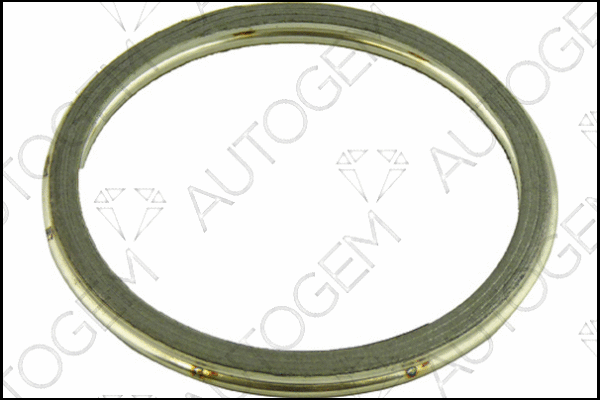 Seal Ring, exhaust pipe (CEG198)