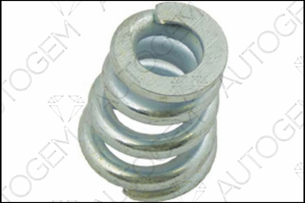 Spring, muffler (CSC197)