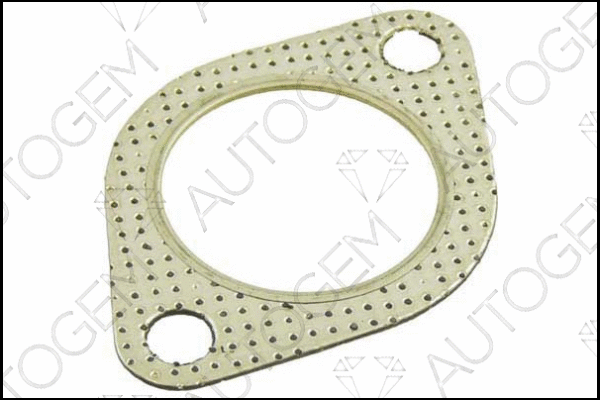 Gasket, exhaust pipe (CEG306)