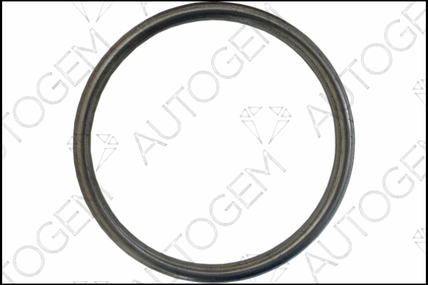 Seal Ring, exhaust pipe (EGA981)