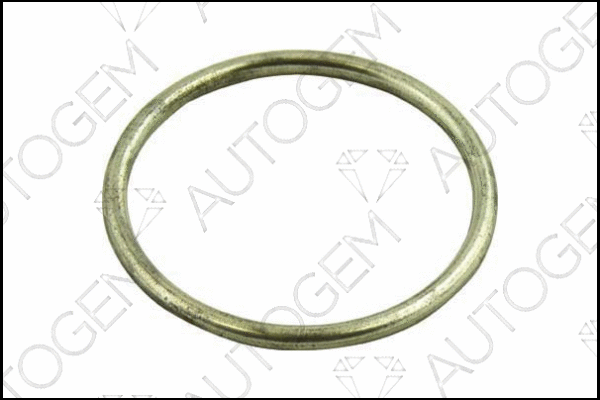 Seal Ring, exhaust pipe (CEG49)