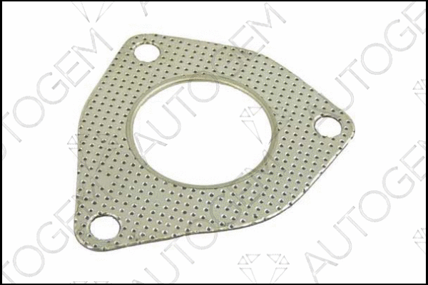 Gasket, exhaust pipe (CEG500)