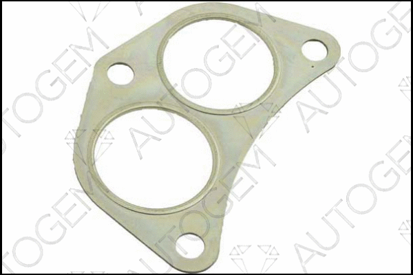 Gasket, exhaust pipe (EG96)