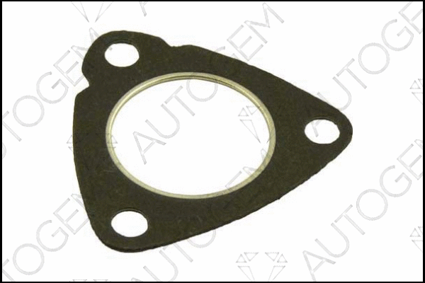 Gasket, exhaust pipe (CEG299)