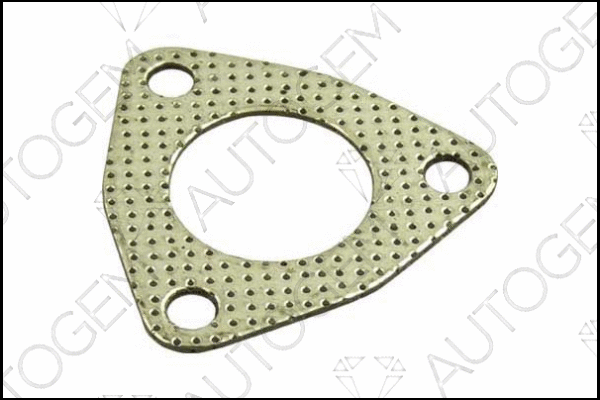 Gasket, exhaust pipe (CEG138)