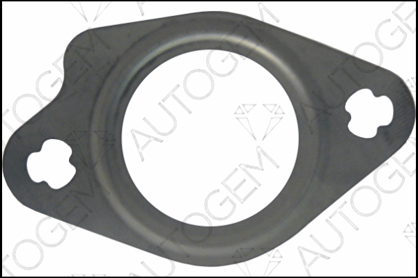 Gasket, EGR valve (CEG6803)