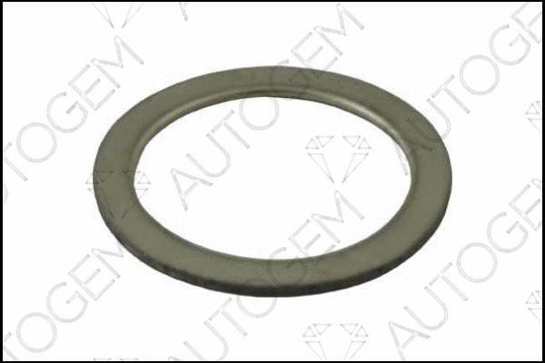 Seal Ring, exhaust pipe (CEG06)