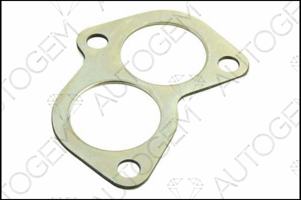 Gasket, exhaust pipe (CEG09)