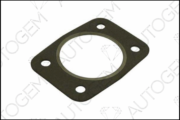 Gasket, exhaust pipe (CEG4402)