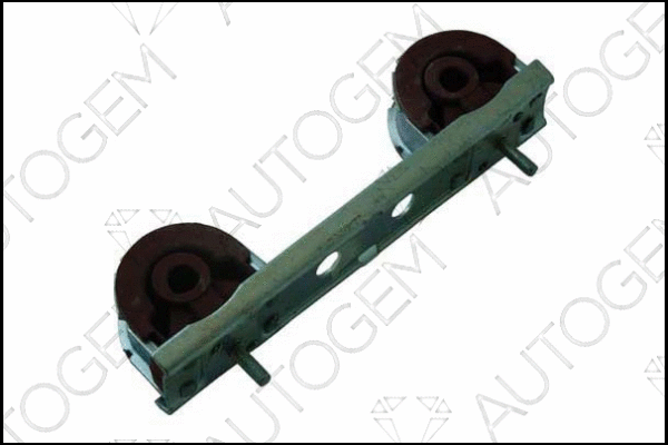 Mount, exhaust system (CSM492)