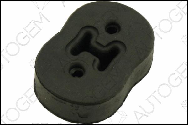 Mount, exhaust system (CSM500)