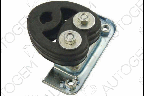 Mount, exhaust system (CSM315)