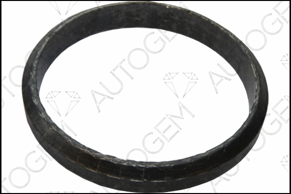 Seal Ring, exhaust pipe (CEG4455)