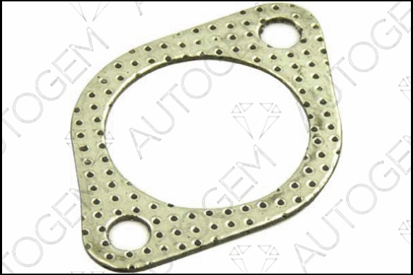 Gasket, exhaust pipe (CEG48)