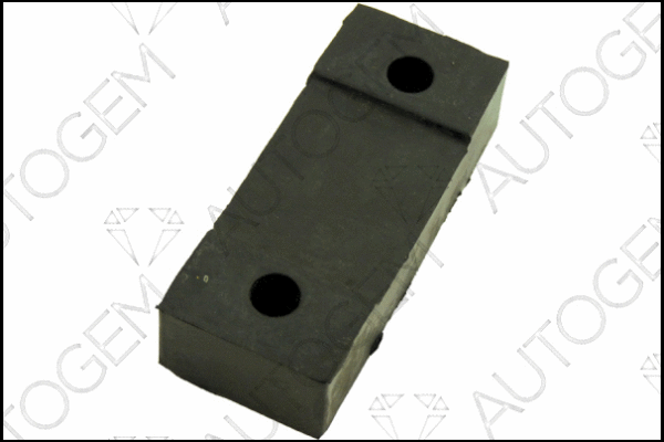 Mount, exhaust system (CSM401)