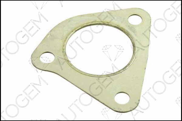 Gasket, exhaust pipe (CEG74)