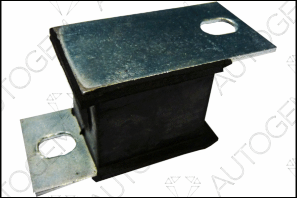 Mount, exhaust system (CSM900)