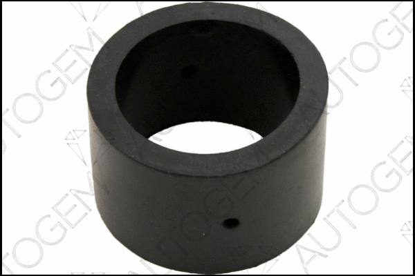 Mount, exhaust system (CSM158)