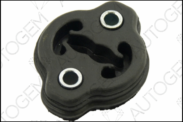 Mount, exhaust system (CSM721)