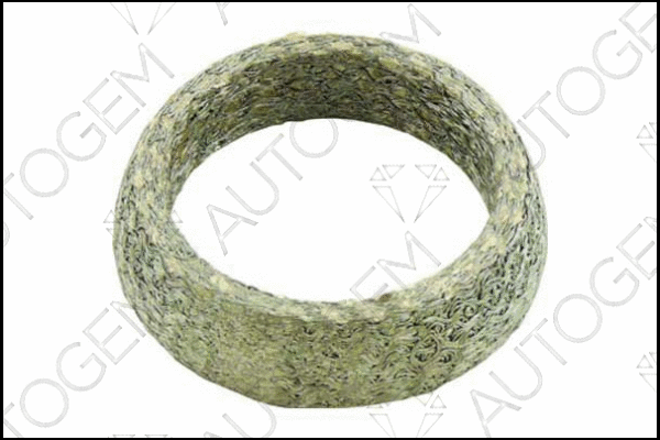 Seal Ring, exhaust pipe (CEG270)