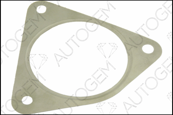 Gasket, exhaust pipe (CEG8803)