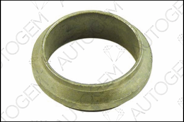 Seal Ring, exhaust pipe (CEG106)
