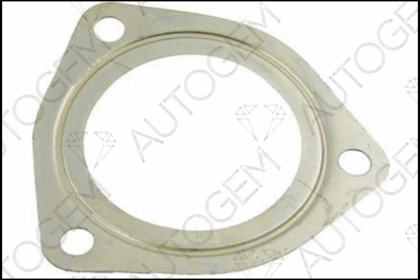 Gasket, exhaust pipe (CEG162)
