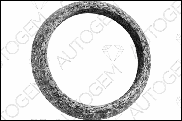 Seal Ring, exhaust pipe (CEG599)
