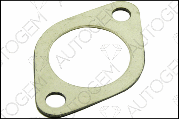 Gasket, exhaust pipe (CEG73)