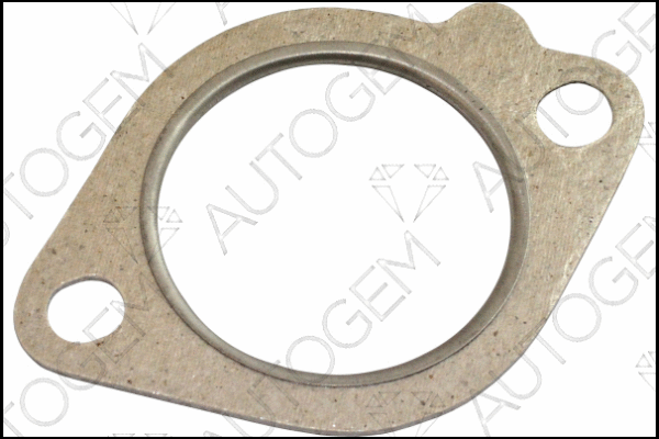 Gasket, exhaust pipe (CEG4401)