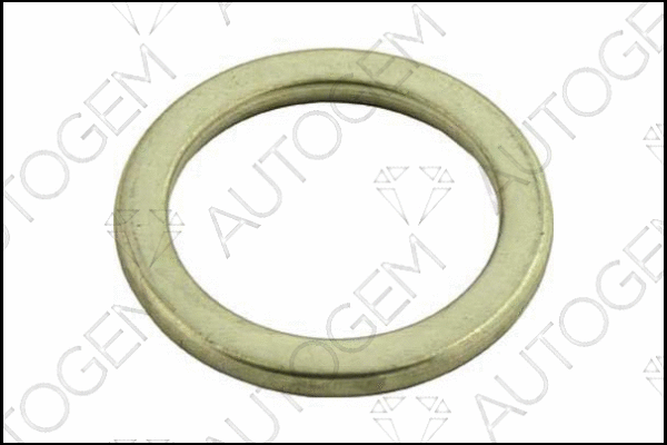 Seal Ring, exhaust pipe (CEG16)