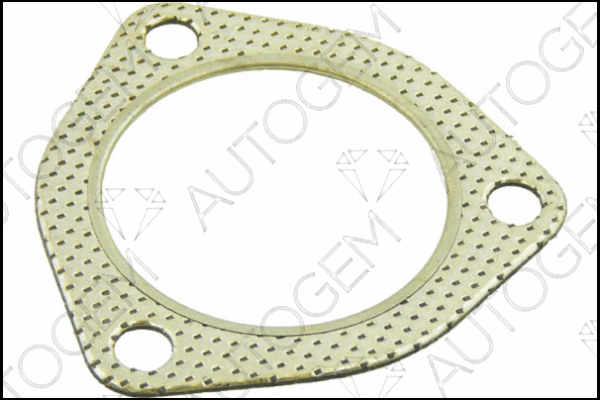 Gasket, exhaust pipe (CEG503)