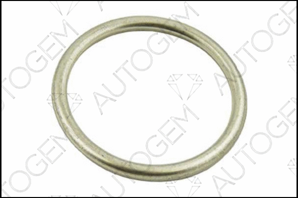 Seal Ring, exhaust pipe (EG35)