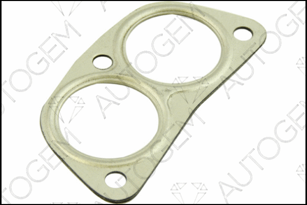 Gasket, exhaust pipe (CEG222)