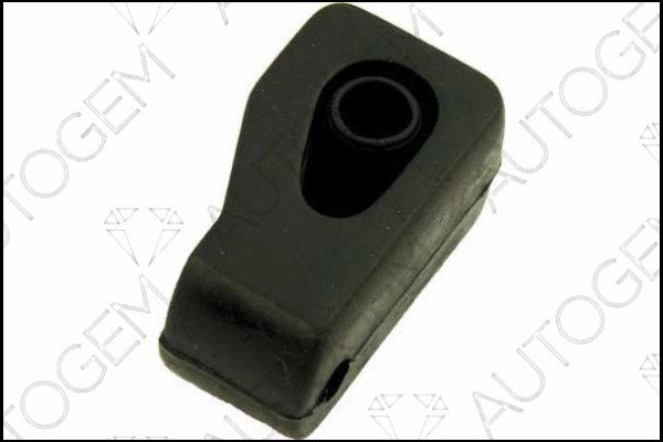 Mount, exhaust system (CSM445)