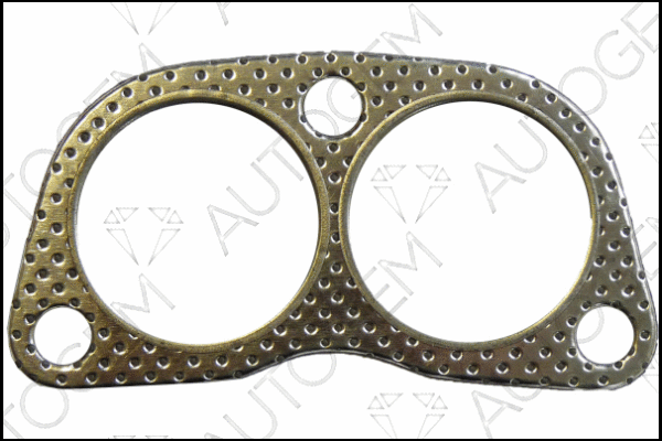 Gasket, exhaust pipe (EGA863)